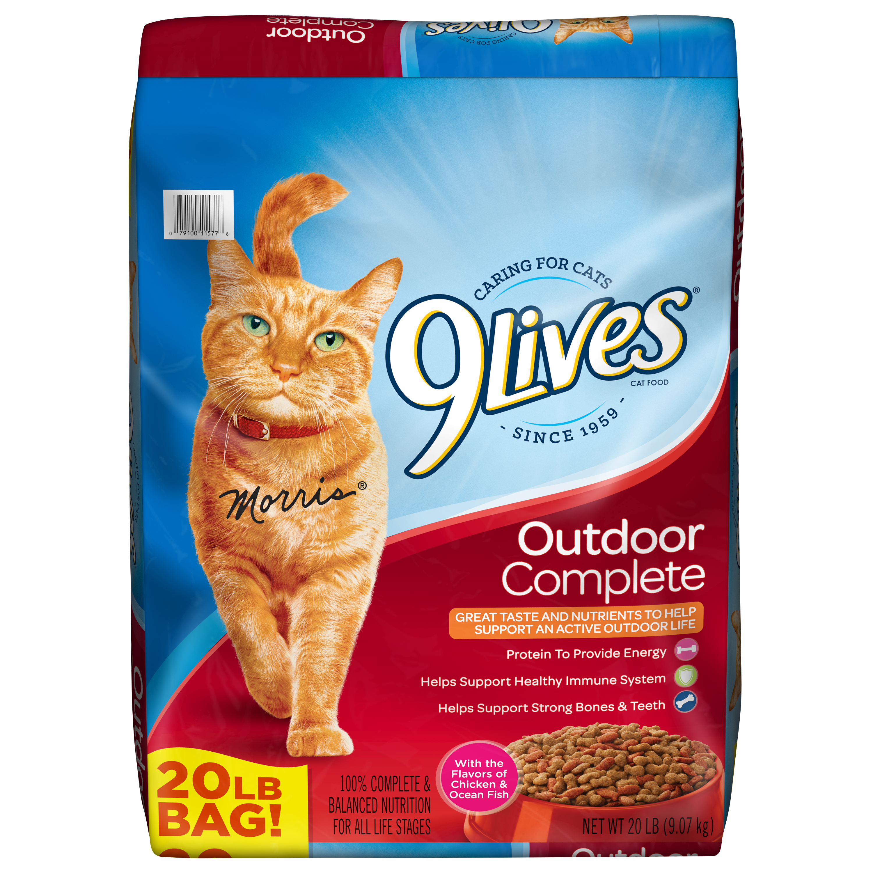 Indoor outdoor cat food hotsell