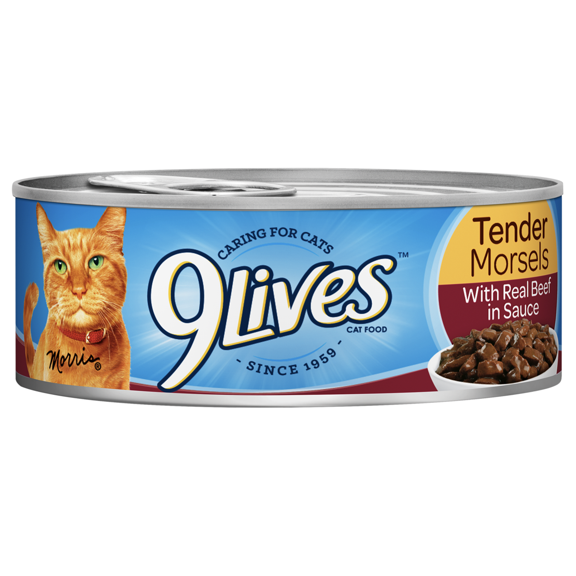 9Lives Tender Morsels With Real Beef in Sauce Wet Cat Food